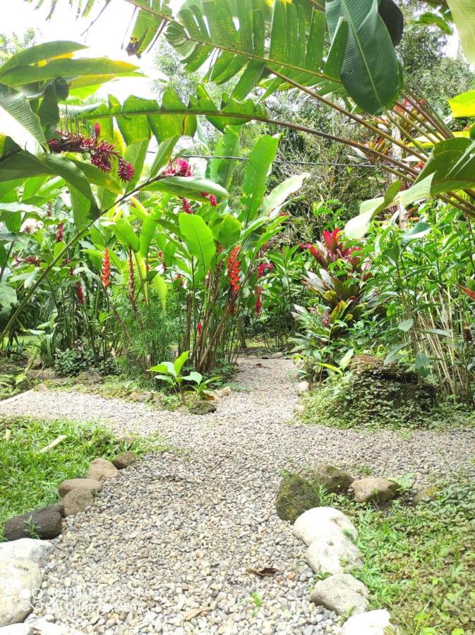 Casita Lidia Bijagua Bed & Breakfast Exterior foto